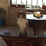 La Collina Degli Scoiattoli Фермерский дом *