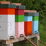La Collina Degli Scoiattoli Фермерский дом *