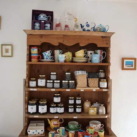 La Collina Degli Scoiattoli Alloggio per agriturismo *