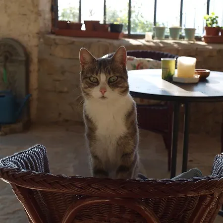 La Collina Degli Scoiattoli Alloggio per agriturismo *