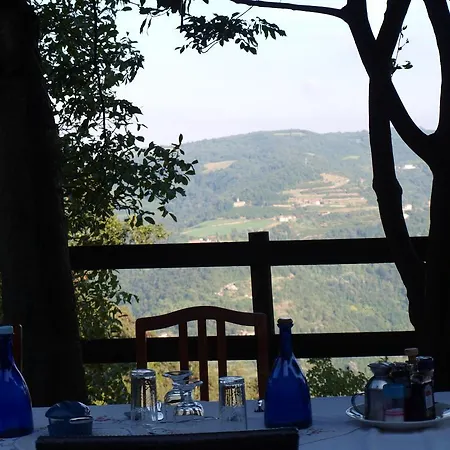 La Collina Degli Scoiattoli *