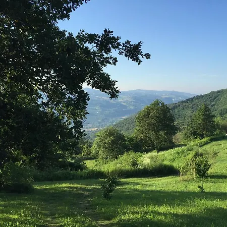 La Collina Degli Scoiattoli * Cravanzana