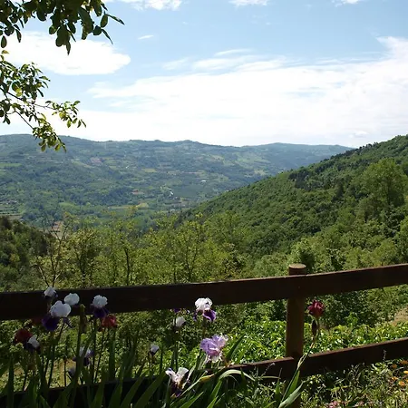 La Collina Degli Scoiattoli