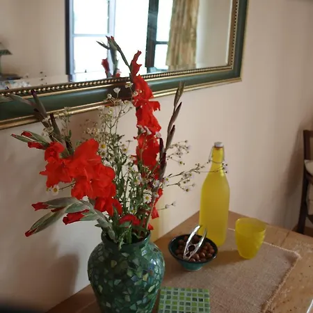 La Collina Degli Scoiattoli * Cravanzana